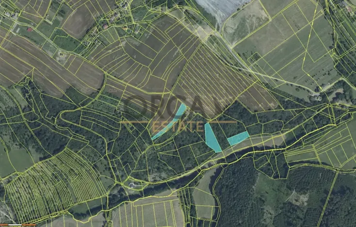 Prodej pole, Nová Dědina, 24875 m2