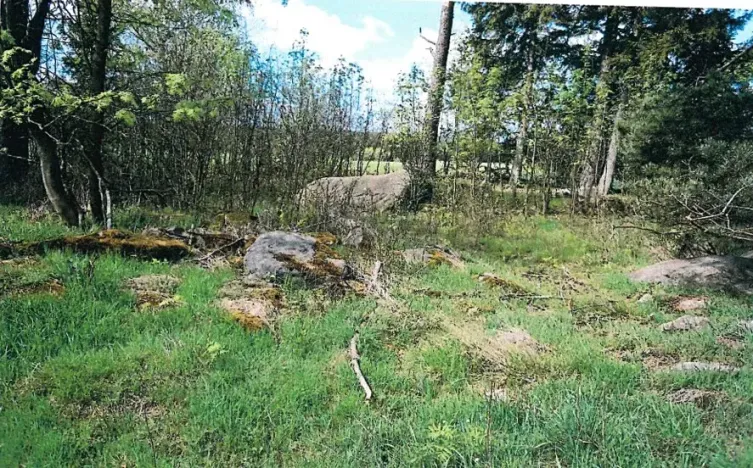 Prodej lesa, Nová Bystřice, 1069 m2