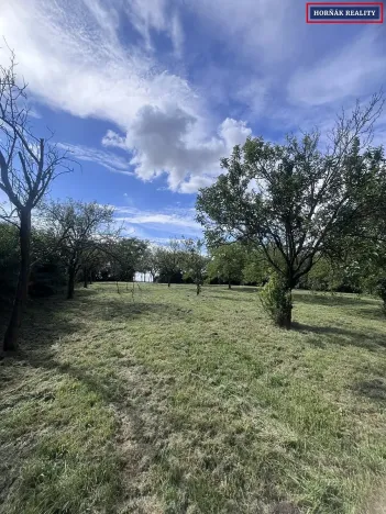 Prodej rodinného domu, Kožušice, 230 m2