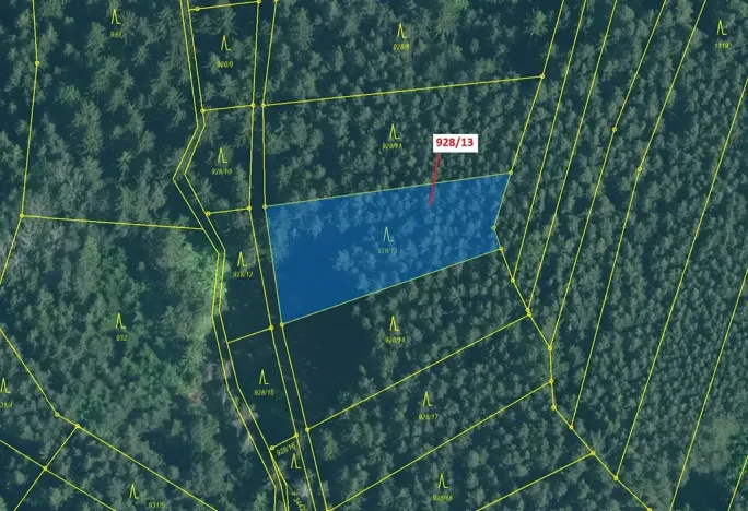 Dražba lesa, Hosty, 1803 m2