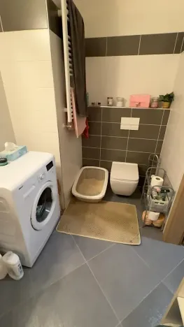 Pronájem bytu 1+kk, Praha - Střížkov, Makedonská, 32 m2