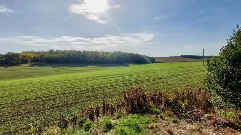 Prodej pozemku pro bydlení, Hrušovany u Brna, Pod Střediskem, 988 m2