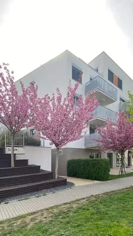 Prodej bytu 2+kk, Praha - Hloubětín, Krylovecká, 55 m2