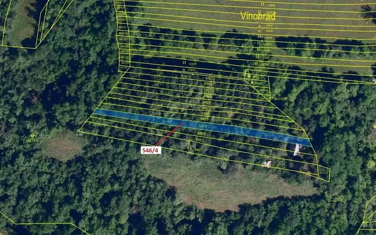 Dražba lesa, Ivančice, 507 m2