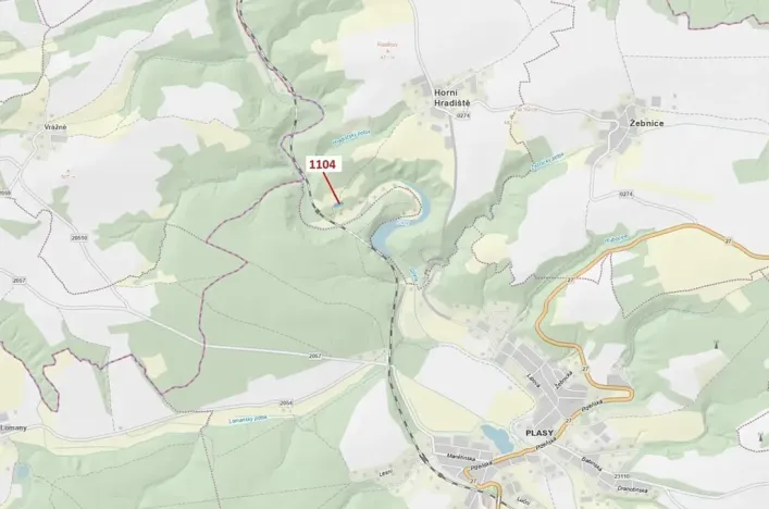 Dražba lesa, Plasy, 1489 m2