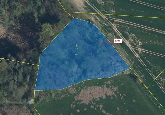 Dražba lesa, Březovice, 4432 m2