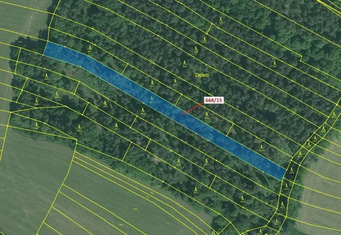 Dražba lesa, Milavče, 4689 m2