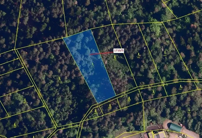 Dražba lesa, Návsí, 3528 m2