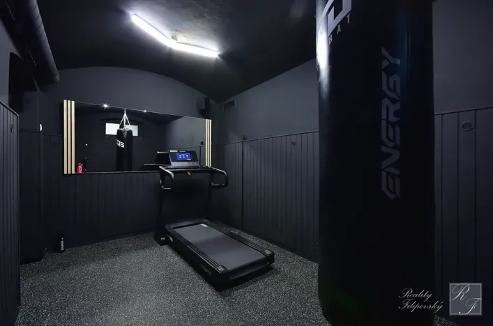 Prodej činžovního domu, Ústí nad Labem, Masarykova, 608 m2