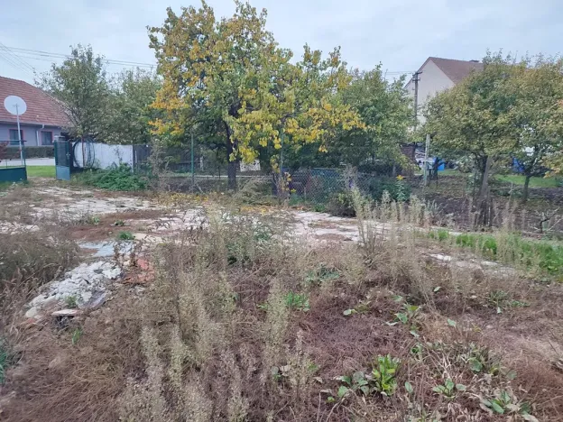 Prodej rodinného domu, Nížkovice, 198 m2