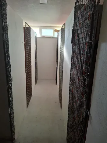 Pronájem bytu 3+1, Brno, Loosova, 74 m2