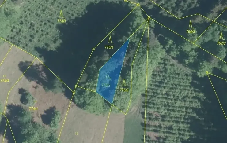 Dražba lesa, Lačnov, 281 m2