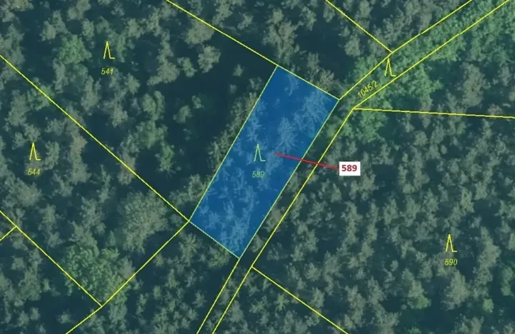 Dražba lesa, Kuřimany, 713 m2