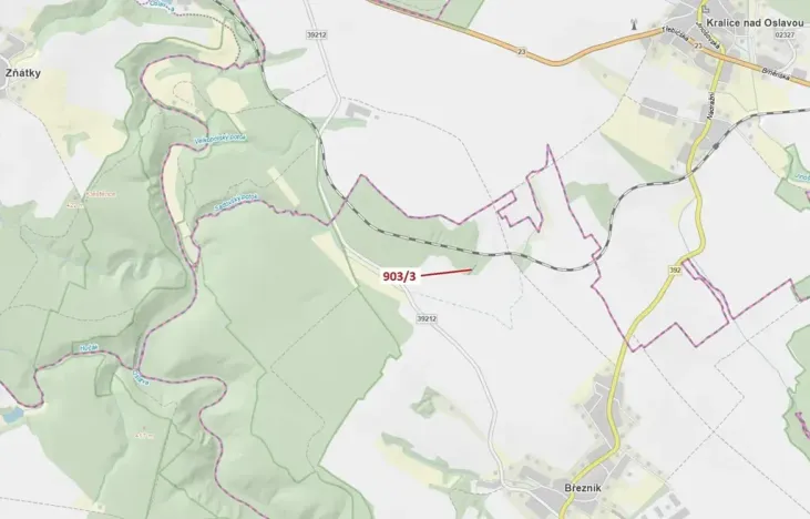 Dražba lesa, Březník, 234 m2