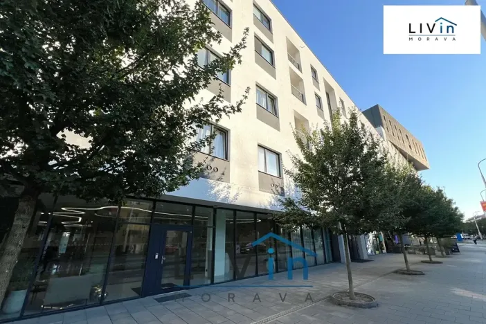 Pronájem bytu 2+kk, Olomouc, Wolkerova, 58 m2