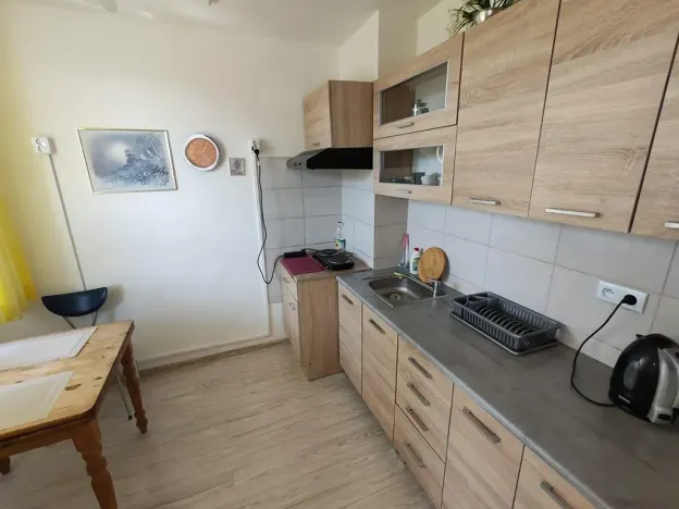 Pronájem bytu 2+1, Teplice, Alejní, 50 m2