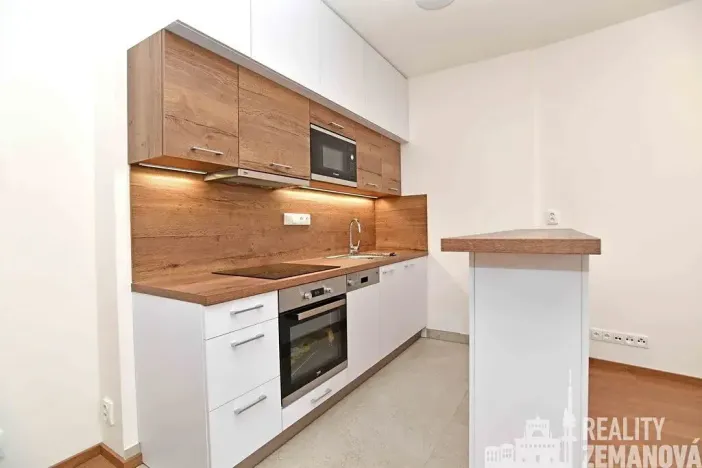 Pronájem bytu 1+kk, Praha - Vinohrady, Řipská, 30 m2