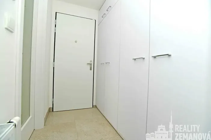 Pronájem bytu 1+kk, Praha - Vinohrady, Řipská, 30 m2