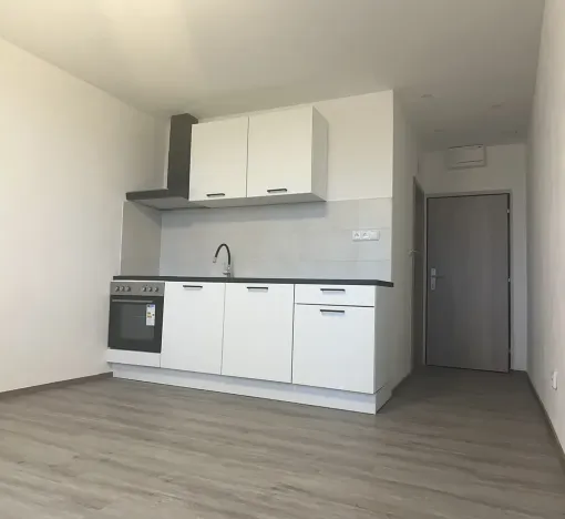 Pronájem bytu 1+1, Plzeň, Komenského, 36 m2