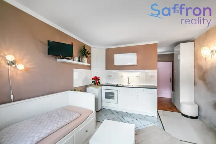 Prodej bytu 1+kk, Plzeň, náměstí Generála Píky, 23 m2