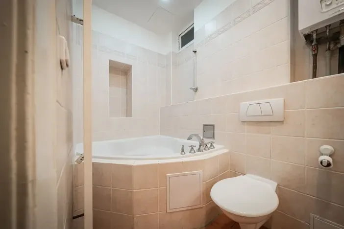 Pronájem bytu 3+1, Praha - Vinohrady, Mánesova, 100 m2