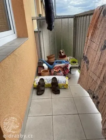 Dražba bytu 3+1, Rychnov nad Kněžnou, SNP, 72 m2