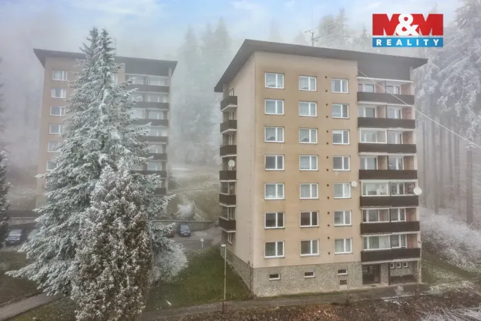 Prodej bytu 1+1, Janské Lázně, Na Sluneční Stráni, 38 m2