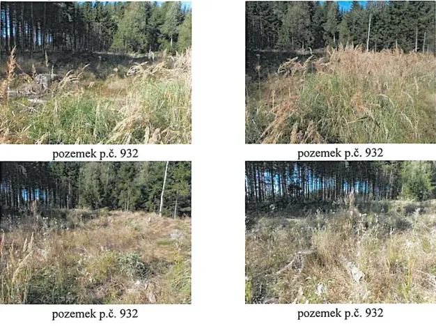 Prodej lesa, Česká Bělá, 7690 m2