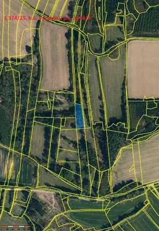 Prodej lesa, Vyskytná, 2174 m2