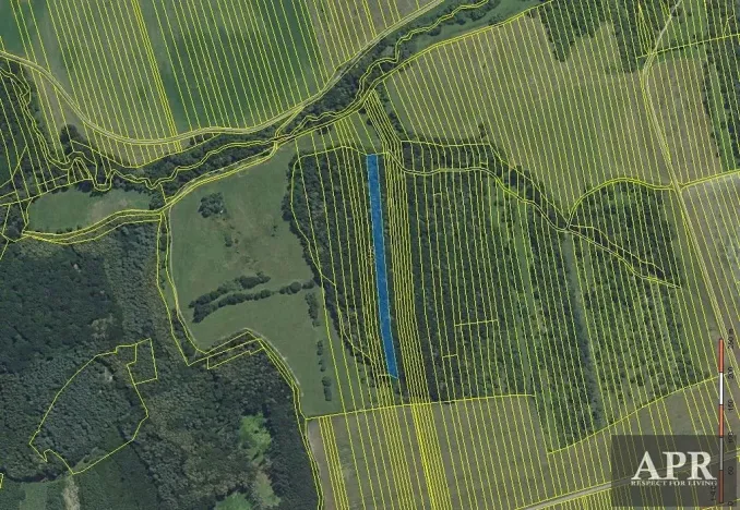 Prodej lesa, Hradčovice, 4947 m2