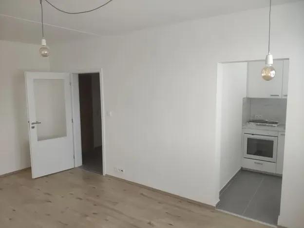 Pronájem bytu 1+1, Praha - Chodov, Ledvinova, 30 m2