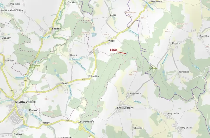 Dražba lesa, Vilice, 2693 m2