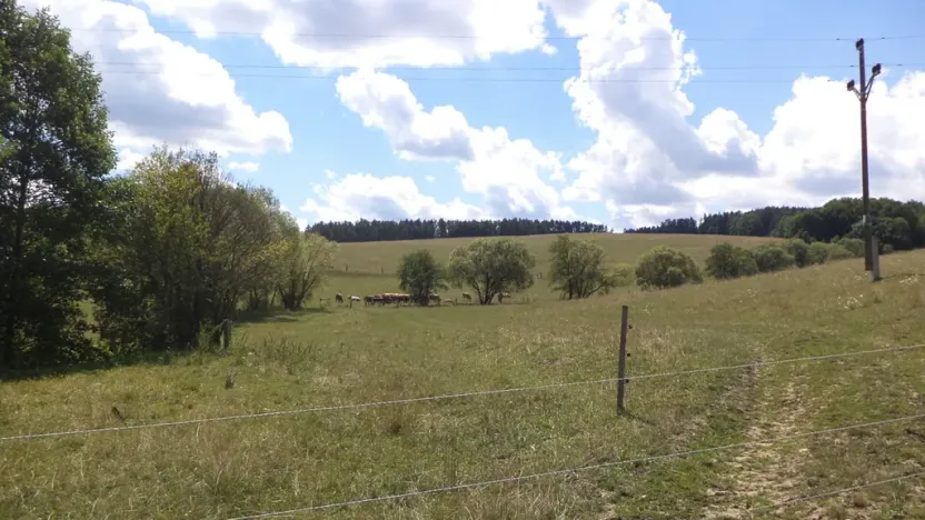 Prodej pole, Slavičín - Nevšová, 16521 m2