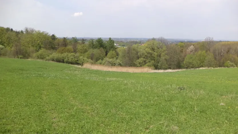 Prodej pozemku, Chotěbuz, 6967 m2