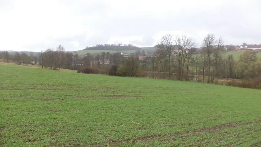 Prodej pole, Mladý Smolivec - Radošice, 15075 m2