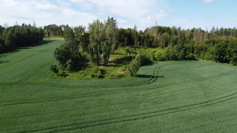 Prodej pozemku, Kundratice, 18586 m2