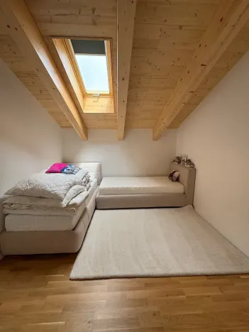 Prodej rodinného domu, Loučná pod Klínovcem, 180 m2