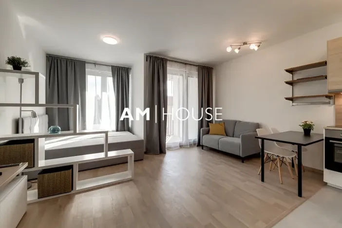 Pronájem bytu 1+kk, Praha - Žižkov, Olgy Havlové, 38 m2