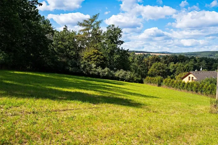 Prodej pozemku pro bydlení, Plasy, 3866 m2