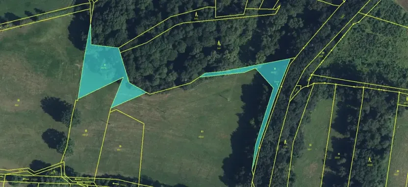 Prodej lesa, Jaroměř, 19276 m2