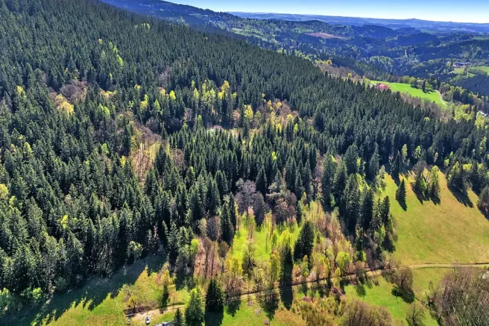 Prodej pozemku pro bydlení, Vítkovice, 21708 m2