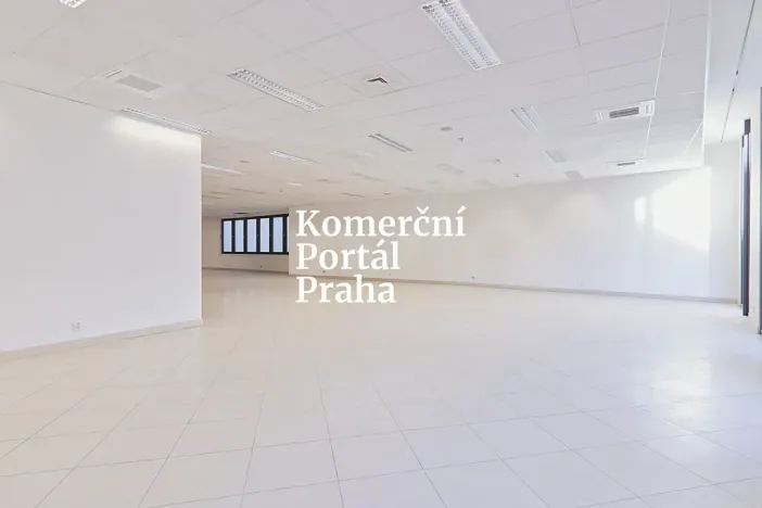 Pronájem obchodního prostoru, Praha - Nové Město, Vodičkova, 311 m2