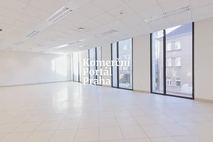 Pronájem obchodního prostoru, Praha - Nové Město, Vodičkova, 311 m2