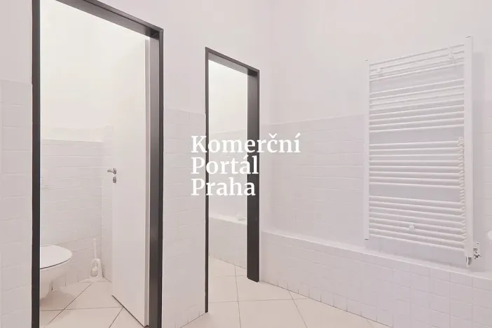 Pronájem obchodního prostoru, Praha - Nové Město, Vodičkova, 311 m2