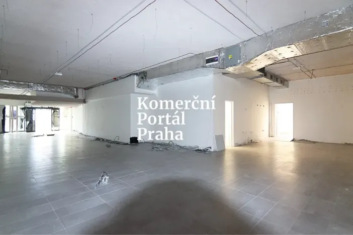 Pronájem obchodního prostoru, Praha - Krč, Olbrachtova, 200 m2