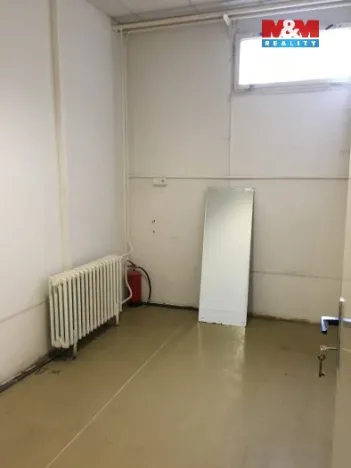 Pronájem obchodního prostoru, Ostrava, Vietnamská, 166 m2