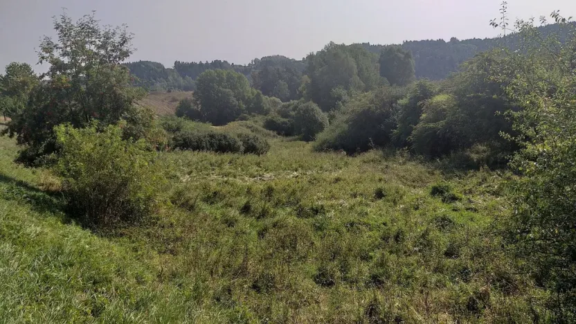 Prodej pole, Úterý, 34244 m2