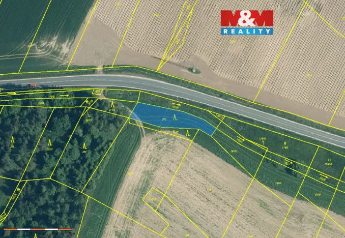 Prodej lesa, Malý Bor, 711 m2