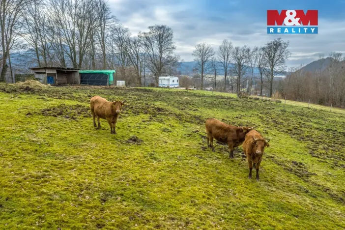 Prodej pozemku pro bydlení, Chřibská - Horní Chřibská, 20128 m2