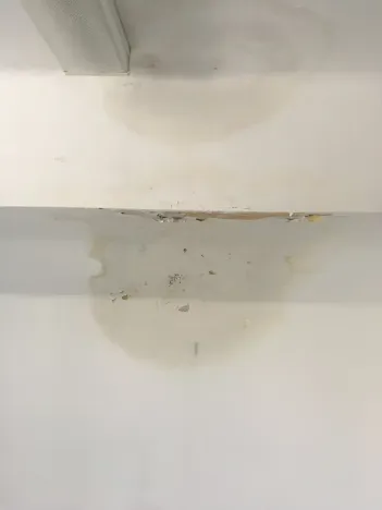 Prodej komerční nemovitosti, Křečhoř, 433 m2